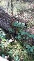 20170905_123011 (Copy)