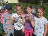 IMG_1078