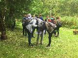 IMG_7292 (Copy)