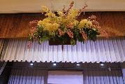 IMG_7573 (Copy)